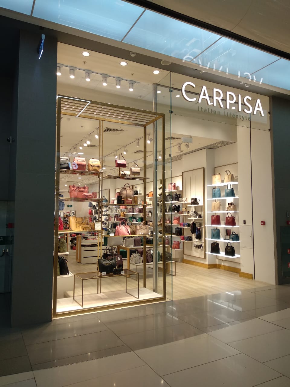 �����������-���������� ������ � �������� CARPISA1